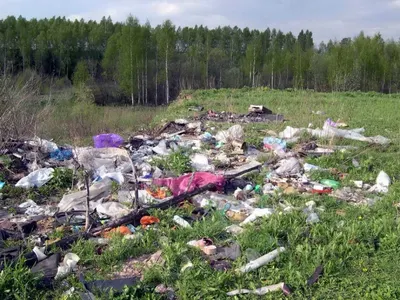Под Астаной много мусора из-за того, что люди не знают законыЭксклюзив