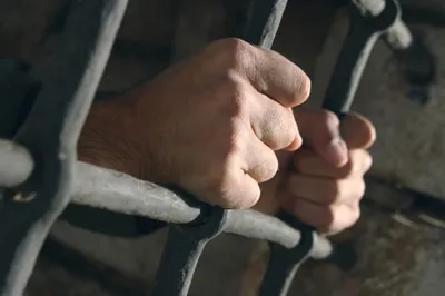 Полицией СКО задержано четверо преступников, находившихся в розыске