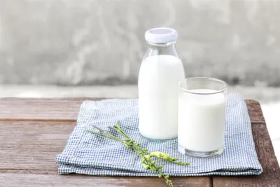 Какие кисломолочные продукты нужно употреблять хотя бы раз в день – диетолог