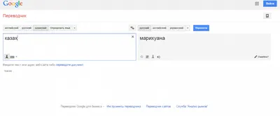 Google в очередной раз удивил переводами с казахского языка