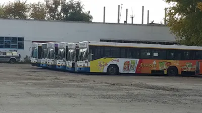 Павлодарские перевозчики терпят убытки и просят повысить тарифы