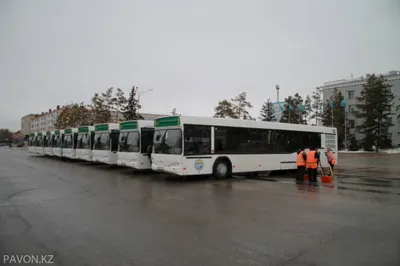 Кто возвращает автобусный парк акимату?