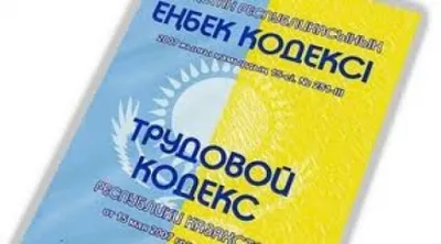 Сенаторы одобрили проект нового Трудового кодекса