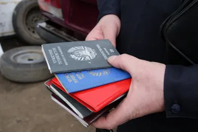 Алматы облысында үш мың шетелдік көші-қон заңбұзушылықтарына тартылды