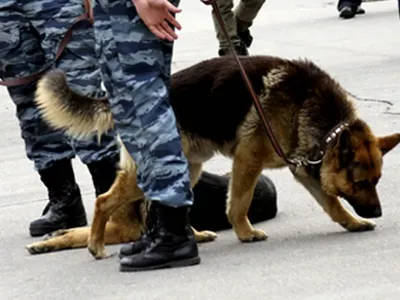 Бомбу ищут в девятиэтажном доме в Рудном со вчерашнего вечера