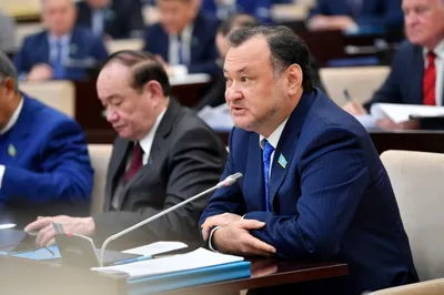 Сенатор Кул-Мухаммед раскритиковал деятельность МИД в рамках ЕАЭС
