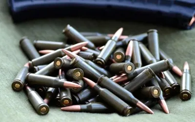 СҚО-да зейнеткер полицияға 150 оқ-дәрі тапсырды