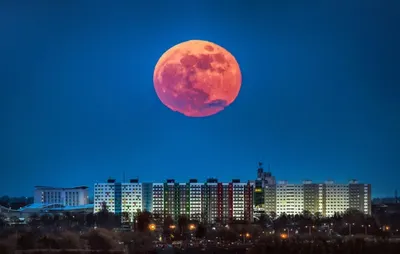 Жители Земли смогут увидеть полное затмение Суперлуны