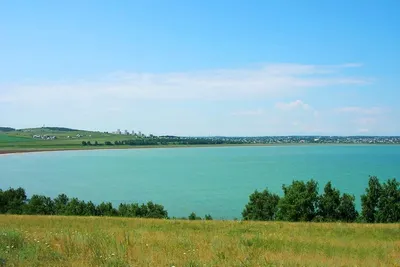 Саумалкөл ауылының тұрғындары құстардың жаппай қырылуына шағымданады