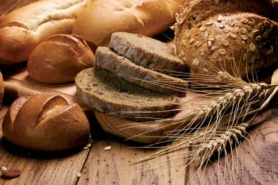 Колледжам в Казахстане официально разрешат продавать свою продукцию