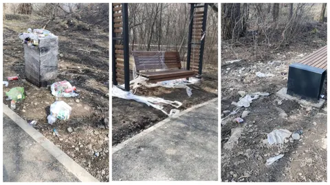 Благоустройство рощи Баума в Алматы