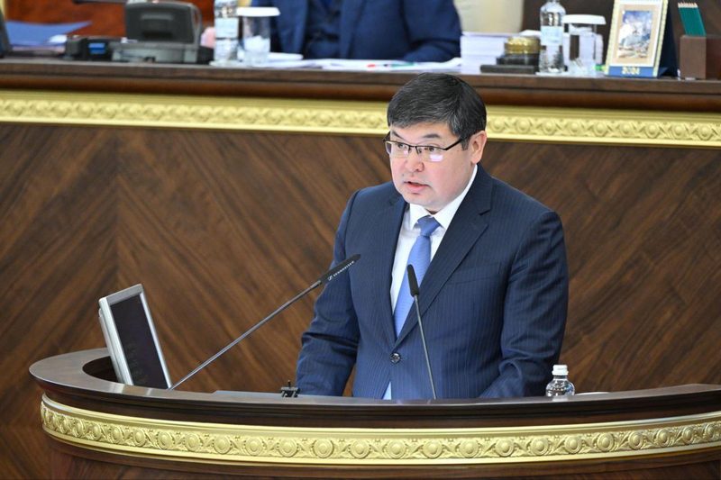 Шағын бизнестен түсетін салық түсімдері 32%-ға өсті — Такиев